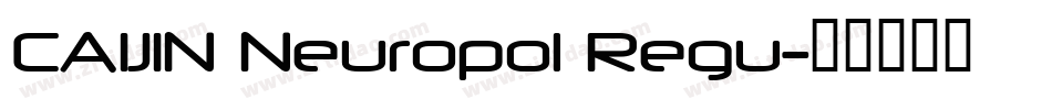 CAIJIN Neuropol Regu字体转换
